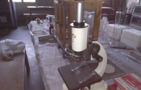 WhatsApp Image 2026-02-10 at 2.13.14 PM (6)