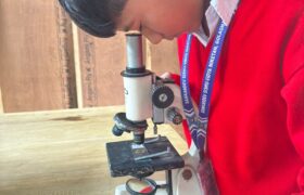 WhatsApp Image 2026-02-13 at 1.05.33 PM (1)