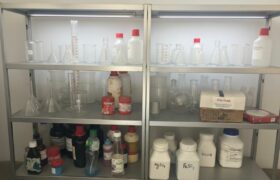 WhatsApp Image 2026-02-13 at 9.20.25 PM